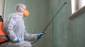 Best Industrial Mold Remediation  in Charlotte Hall, MD