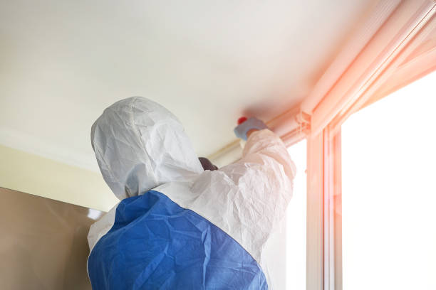 Best Mold Removal for HVAC Installations  in Charlotte Hall, MD